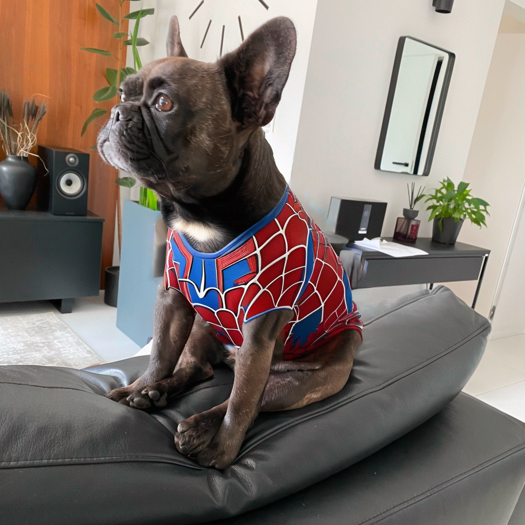 Dog as Superhero 2